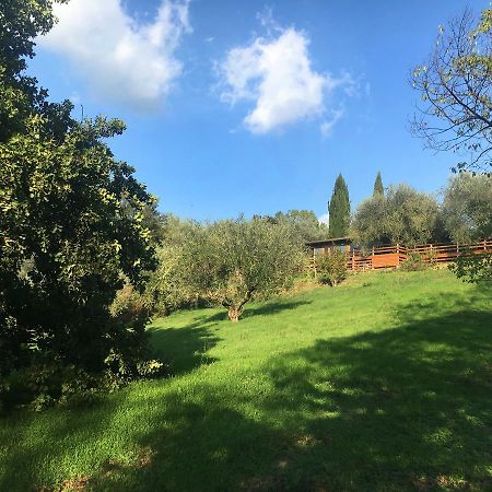 Madonnella Agricola Villa Cesano Ngoại thất bức ảnh