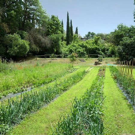 Madonnella Agricola Villa Cesano Ngoại thất bức ảnh