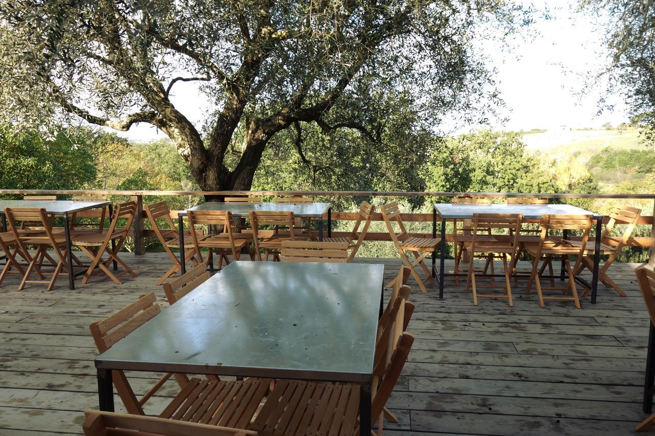 Madonnella Agricola Villa Cesano Ngoại thất bức ảnh