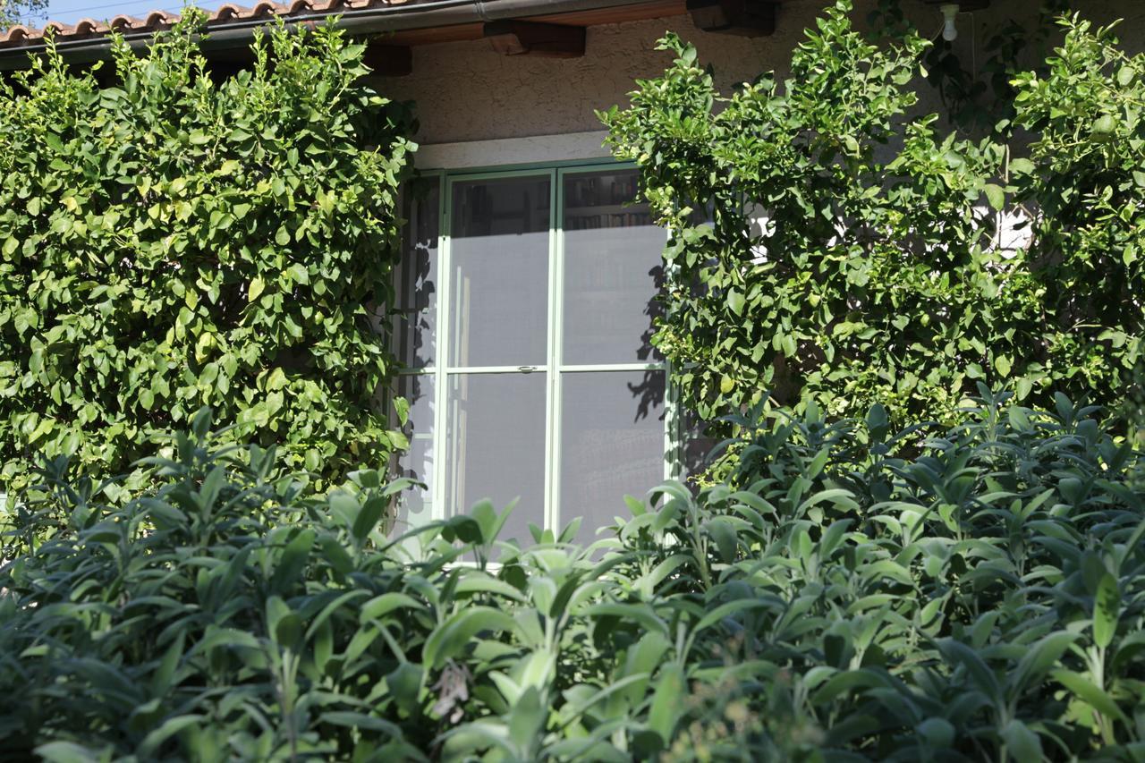 Madonnella Agricola Villa Cesano Ngoại thất bức ảnh