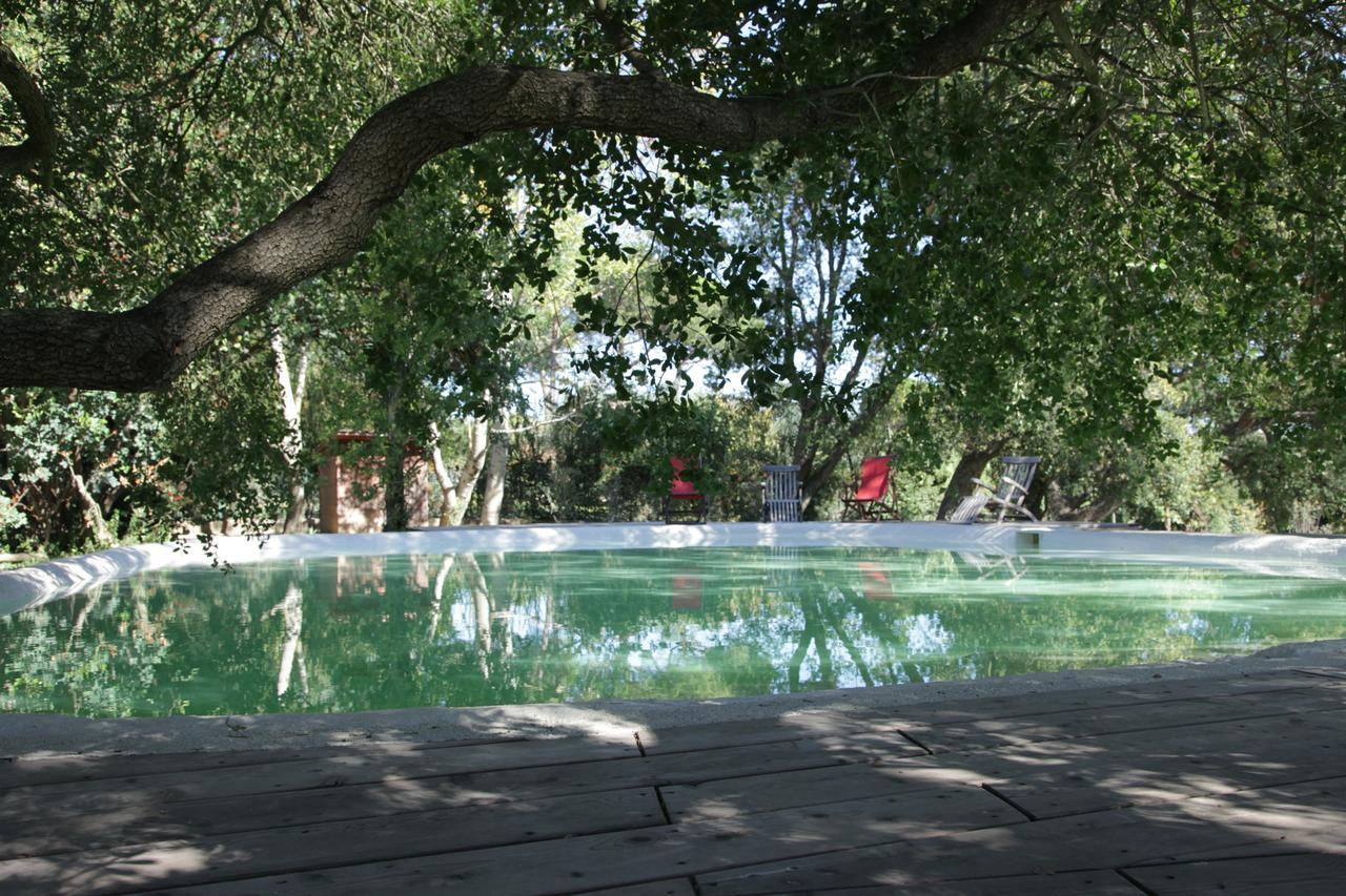 Madonnella Agricola Villa Cesano Ngoại thất bức ảnh