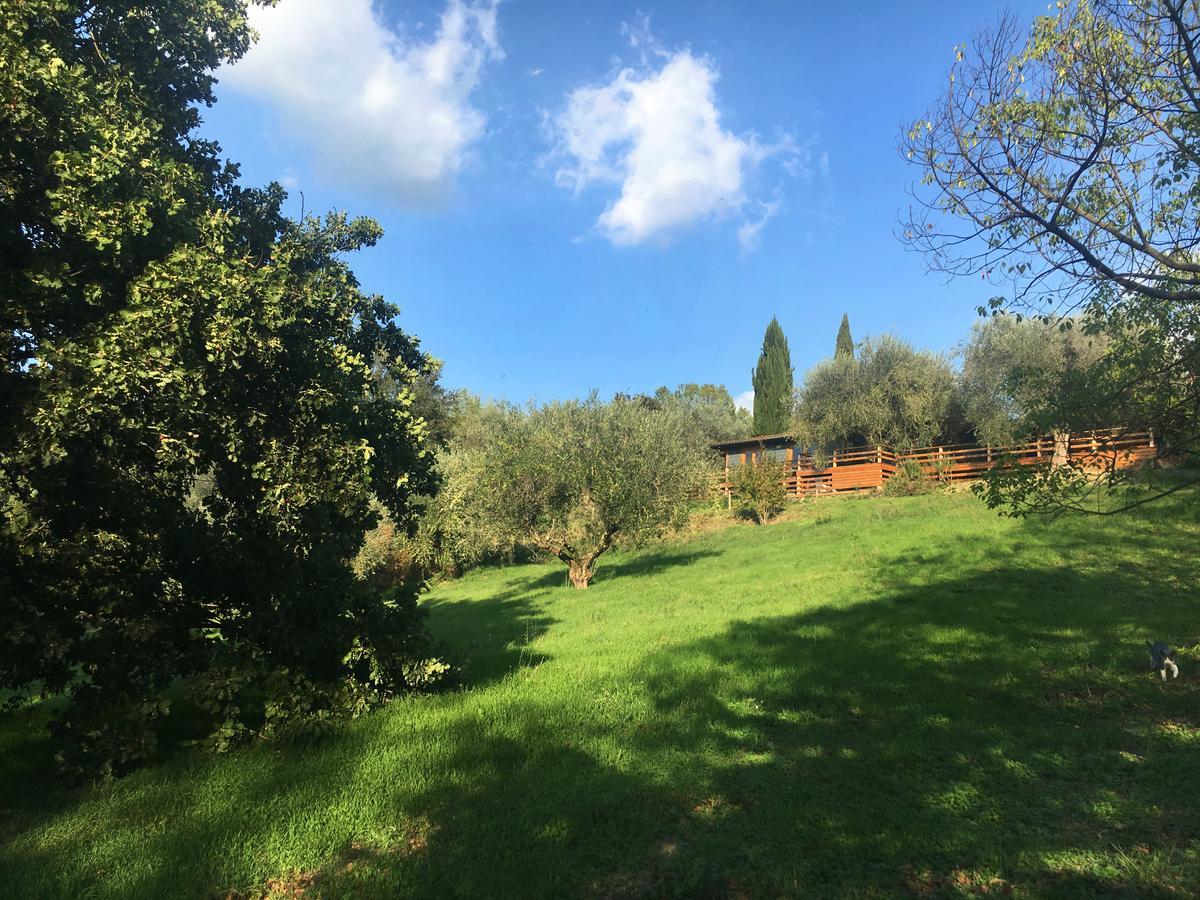 Madonnella Agricola Villa Cesano Ngoại thất bức ảnh