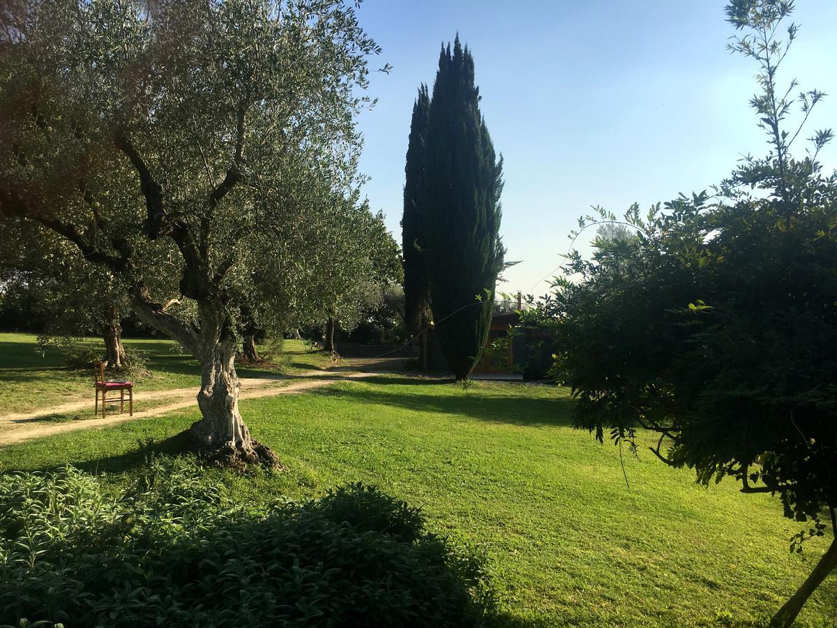 Madonnella Agricola Villa Cesano Ngoại thất bức ảnh