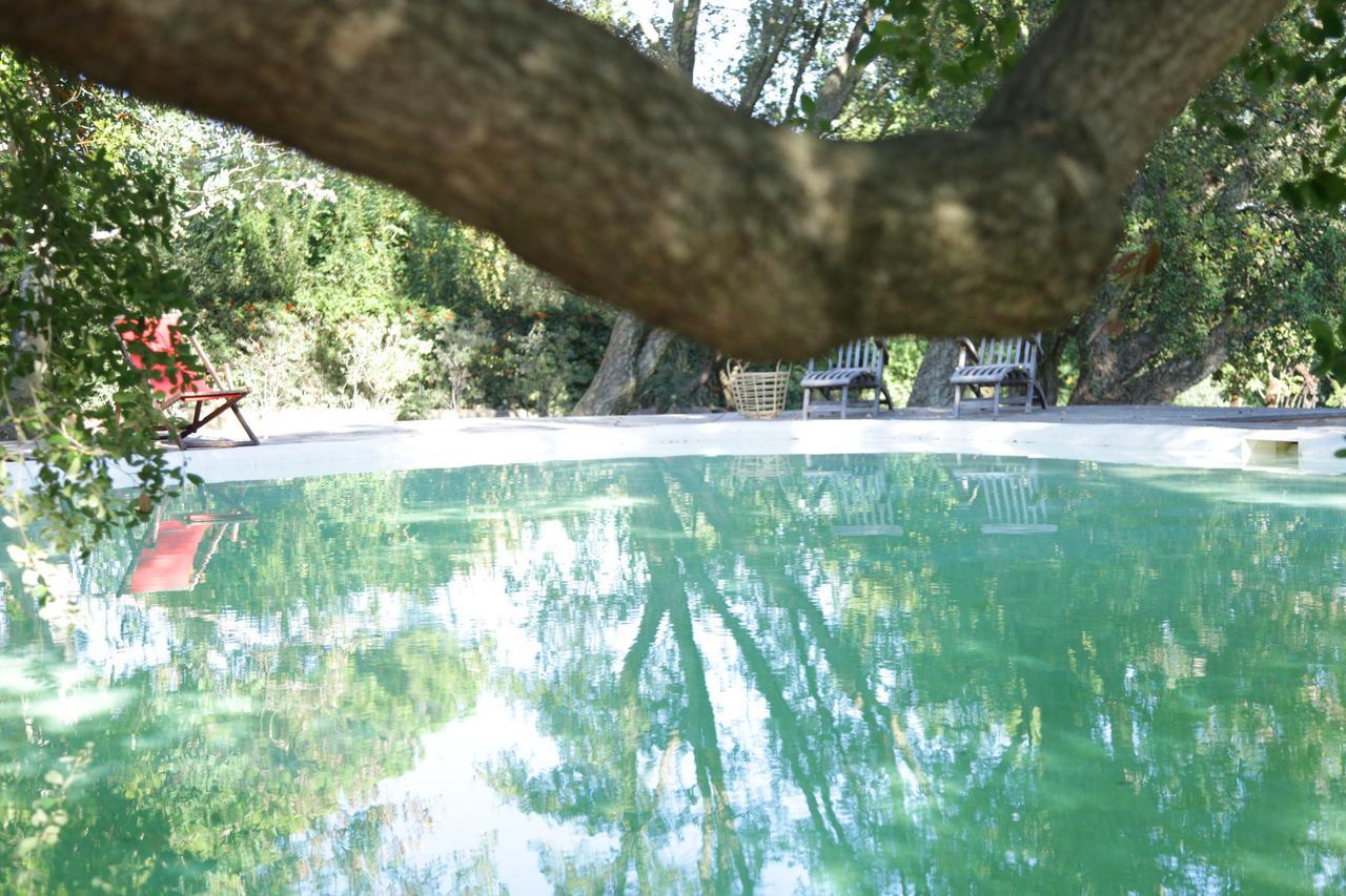 Madonnella Agricola Villa Cesano Ngoại thất bức ảnh