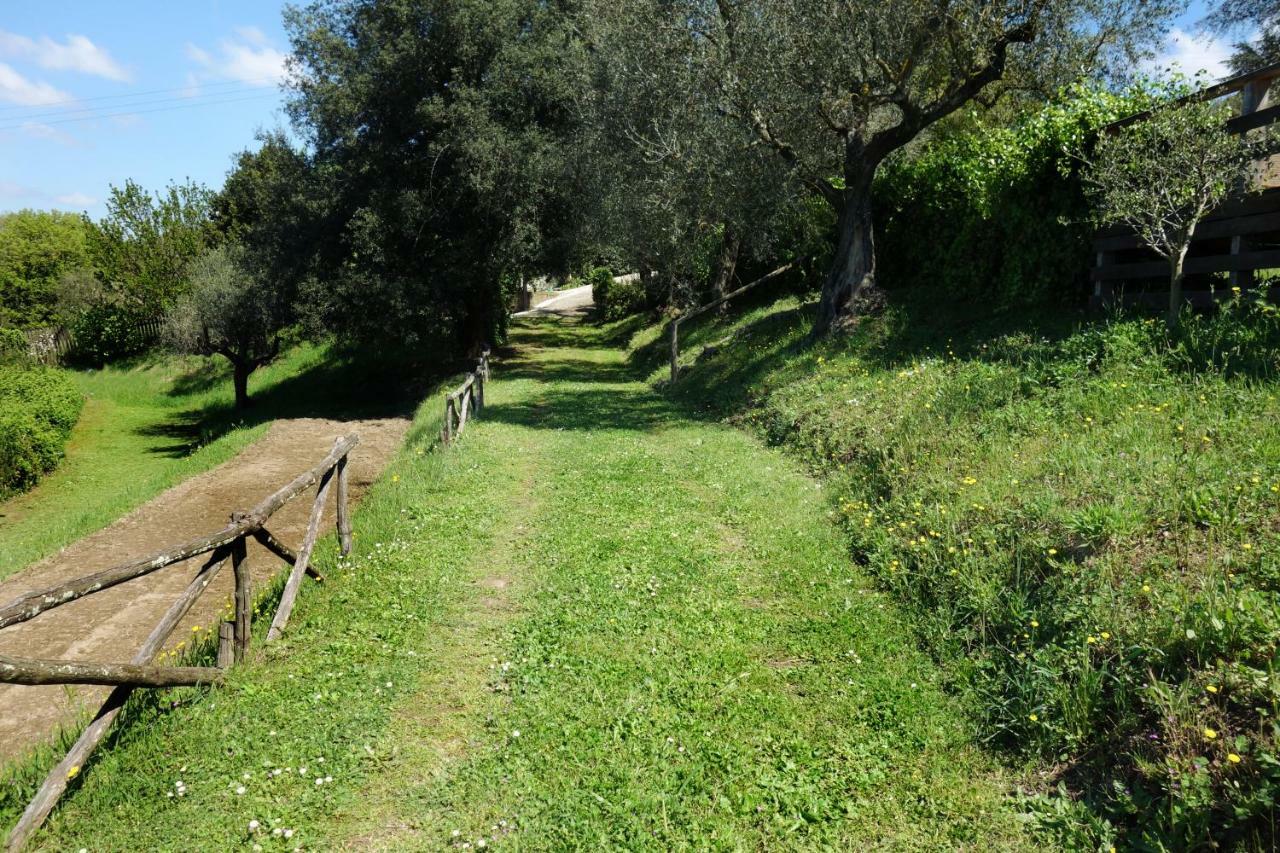 Madonnella Agricola Villa Cesano Ngoại thất bức ảnh