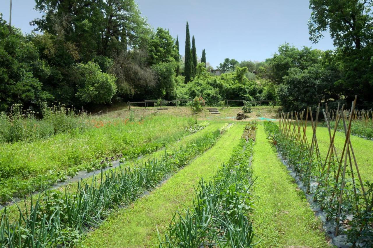 Madonnella Agricola Villa Cesano Ngoại thất bức ảnh